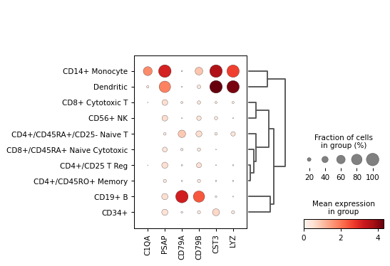 ../_images/scanpy-pl-dotplot-1.png